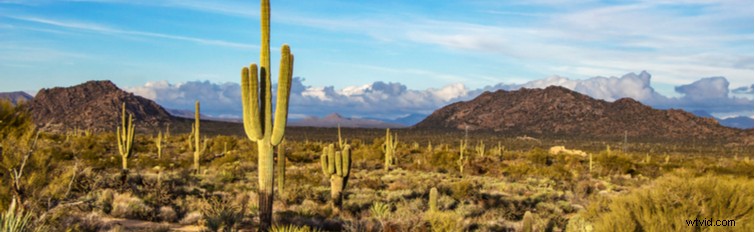 Curated Royalty-Free Western Music Playlist for Authentic Indie Projects