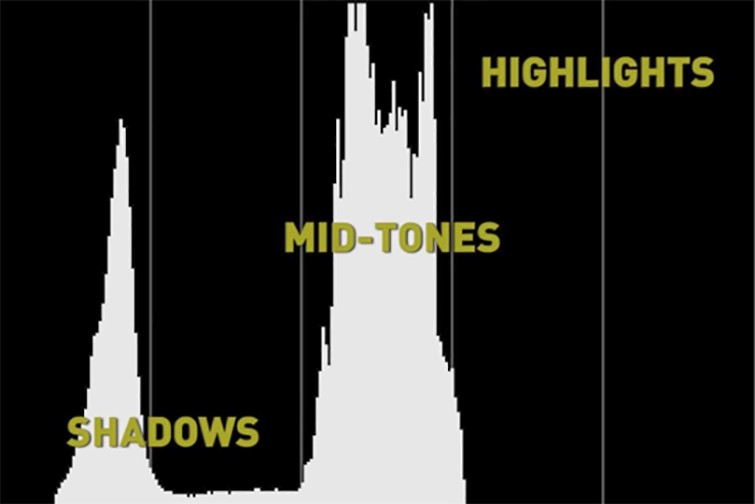 Mastering Histograms: Your Guide to Perfect Exposure In-Camera and in Post