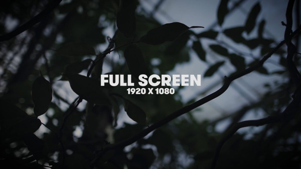 Ultimate Guide: Choosing the Perfect Aspect Ratio for Your Videos