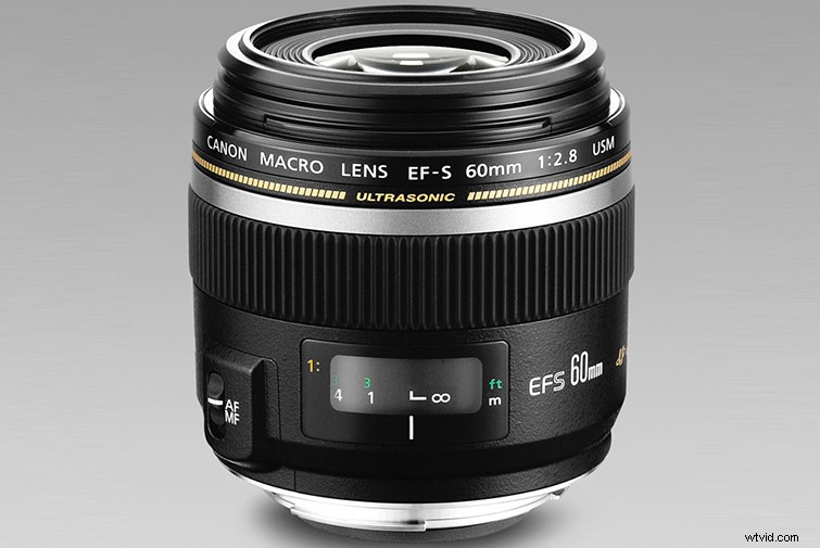 Ultimate Buyer s Guide: Top Macro Lenses for Filmmakers & Videographers
