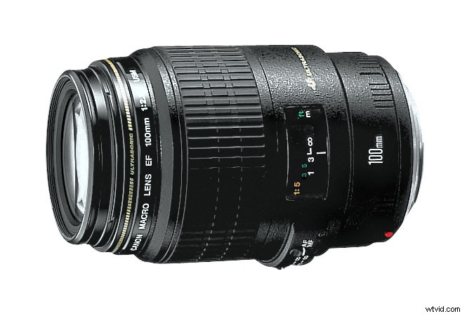 Ultimate Buyer s Guide: Top Macro Lenses for Filmmakers & Videographers