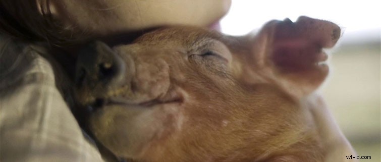 5 Key Advantages of Self-Distributing Your Next Feature Film