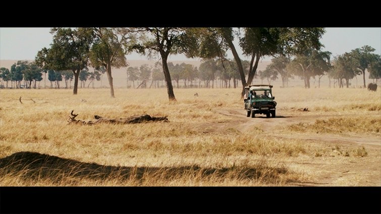 6 Pro Hacks to Crop 16:9 Footage for a Cinematic 2.39:1 Aspect Ratio