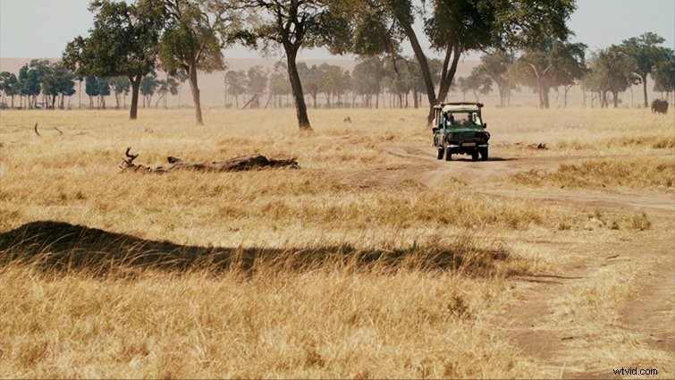 6 Pro Hacks to Crop 16:9 Footage for a Cinematic 2.39:1 Aspect Ratio