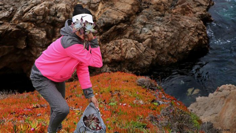 SXSW 2021 Filmmakers Reveal Their Camera Choices: Variety and Insights