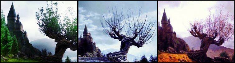 Master the Establishing Shot: Essential Guide for Filmmakers