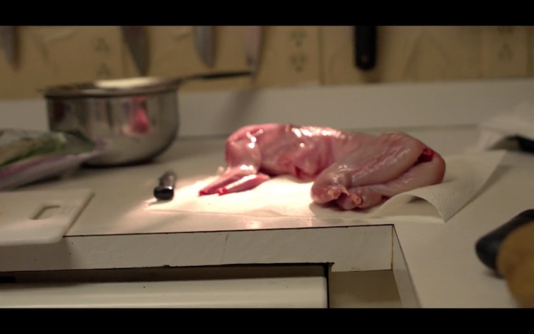 How Documentary Filmmakers Master Synthetic Light for Authentic Natural Effects