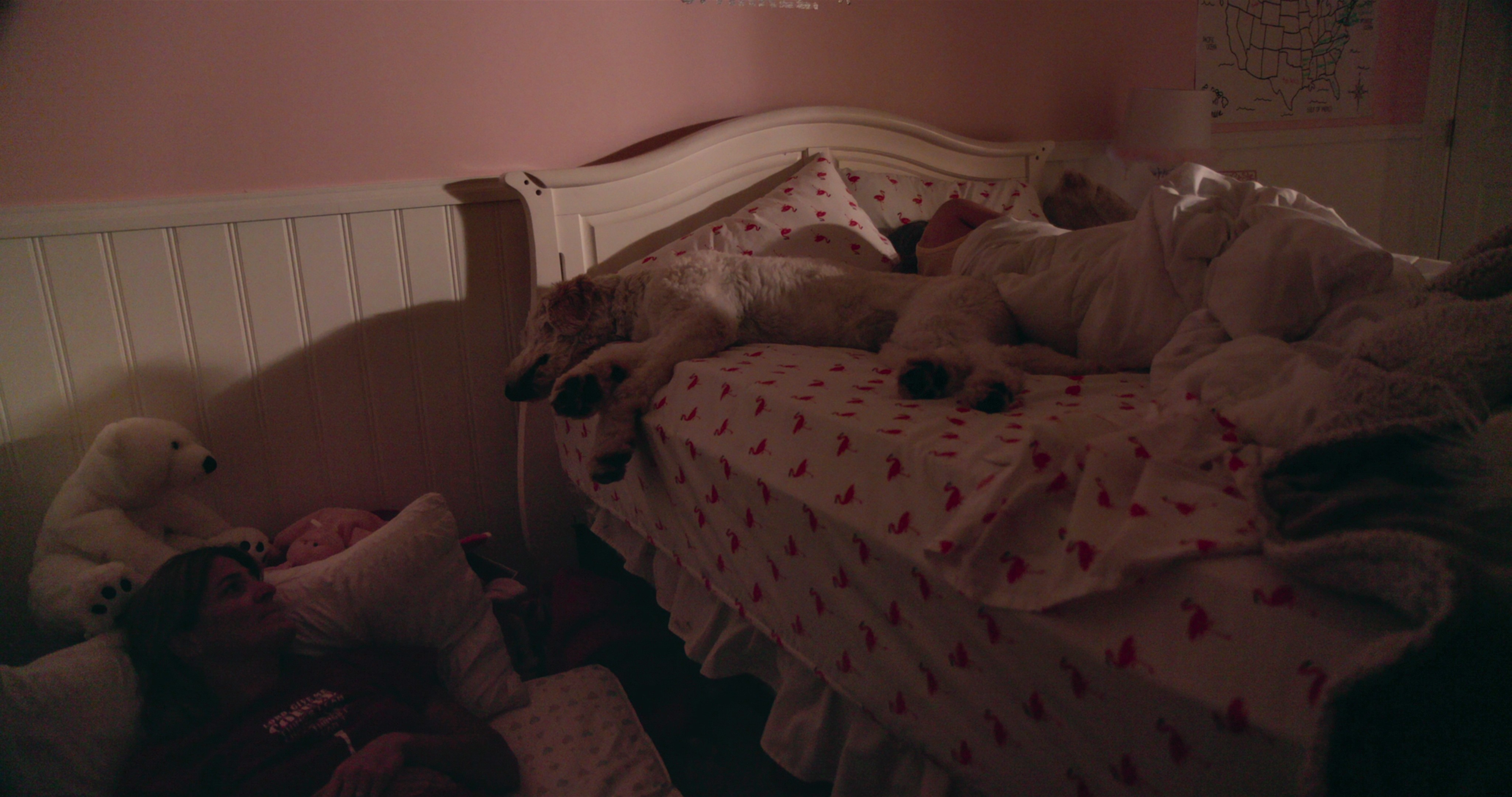 Expert Insights: Two Top Cinematographers on Mastering Documentary Filmmaking