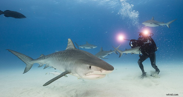 Exclusive Interview: Cinematographer Abraham Joffe on Shooting Netflix s Award-Winning  Tales By Light 