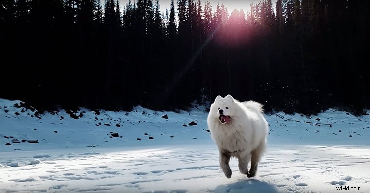 4 Proven Rules to Capture Stunning Slow-Motion Video Without Overpowering Your Scene