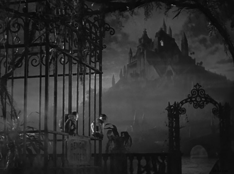 Master the Establishing Shot: Craft Tone and Atmosphere for Your Film