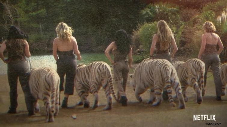 Essential Documentary Filmmaking Lessons from Netflix s  Tiger King  Phenomenon