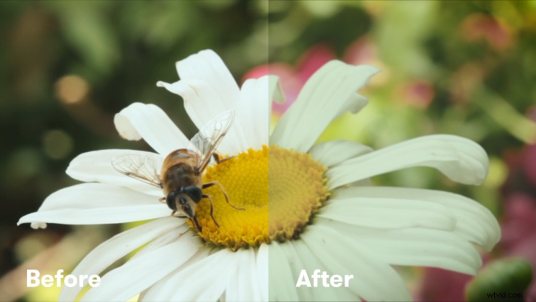 Create Authentic Retro VHS Effects in Premiere Pro + Free Presets Download