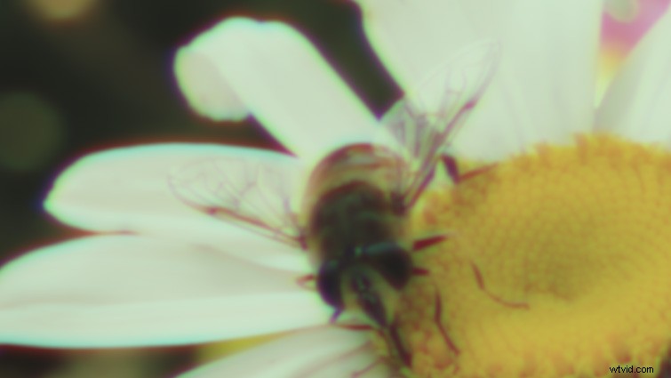 Create Authentic Retro VHS Effects in Premiere Pro + Free Presets Download