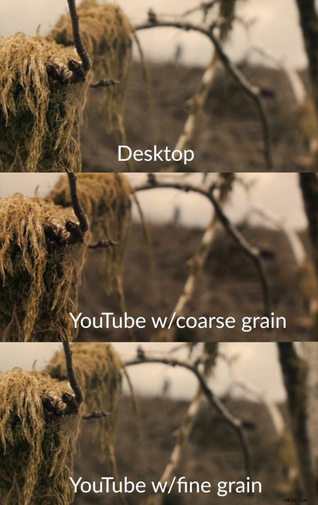 Why Heavy Film Grain Overlays Ruin Your YouTube Upload Quality – Tips for Crisp Videos