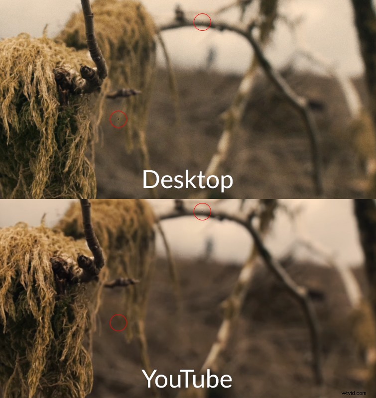 Why Heavy Film Grain Overlays Ruin Your YouTube Upload Quality – Tips for Crisp Videos