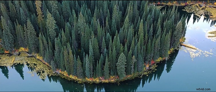 Shoot Live Events Like a Pro: Essential Rules to Maximize Workflow