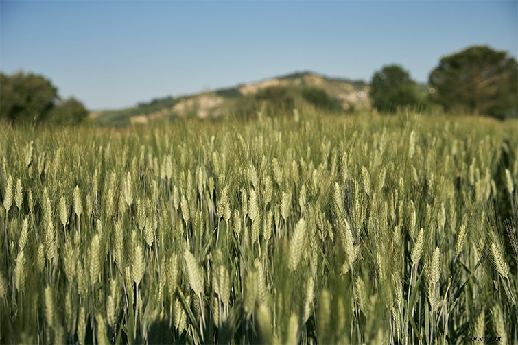 Mastering Depth in Cinematography: Proven Techniques for Cinematic Visuals