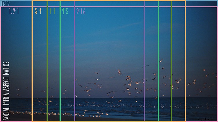 Social Media Video Aspect Ratios: The Ultimate Cheat Sheet Guide