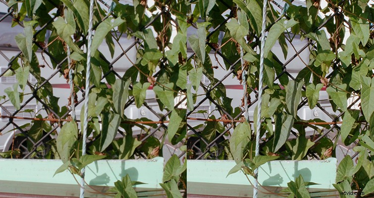 Expert Guide: Softening Super-Sharp 4K DSLR Video Footage in Production and Post