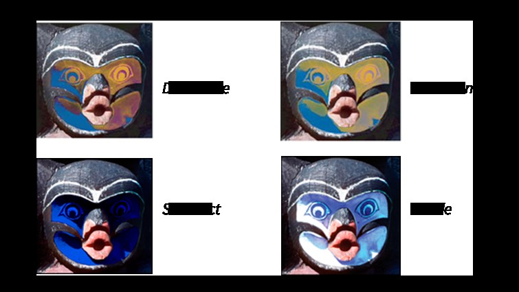 Demystifying Opacity Blend Modes in Adobe Premiere Pro: A Complete Guide