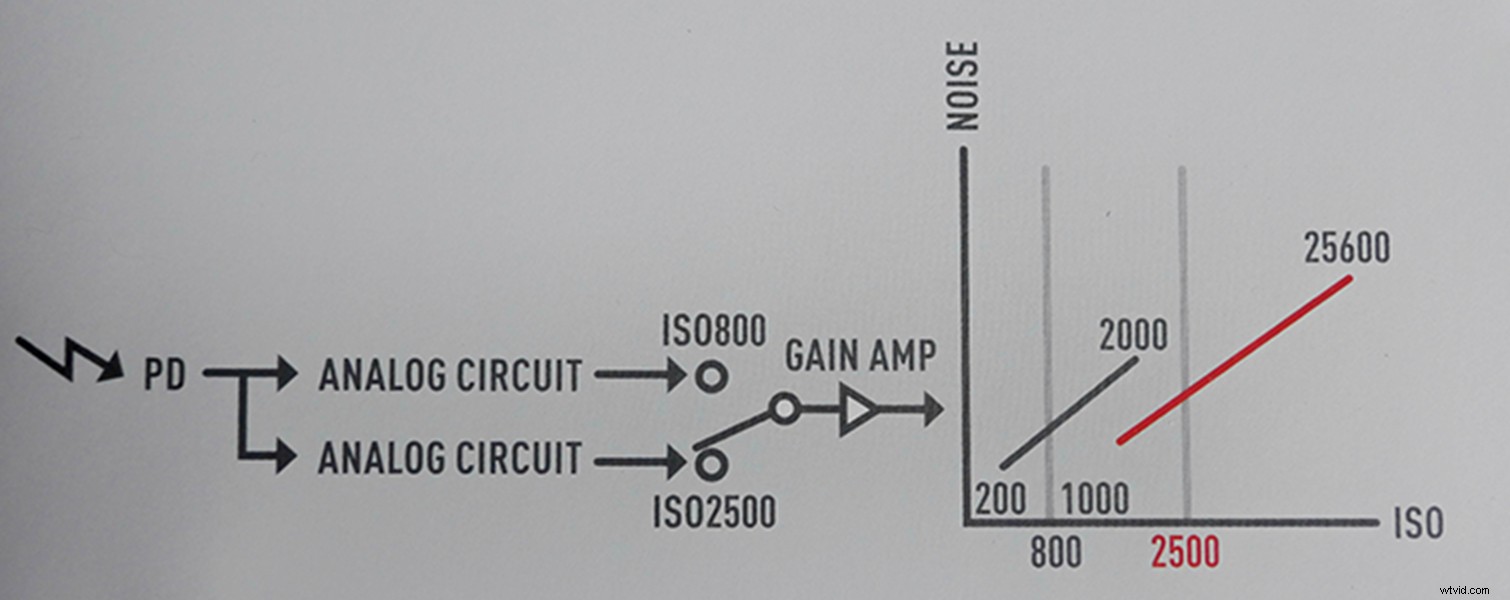 Why Dual Native ISO Deserves to Be the New Industry Standard in Filmmaking
