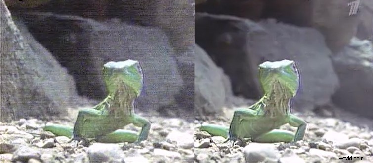 Master Image Noise in Film & Video: Causes, Recognition, and Prevention