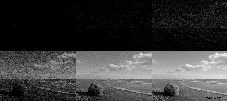 Master Image Noise in Film & Video: Causes, Recognition, and Prevention