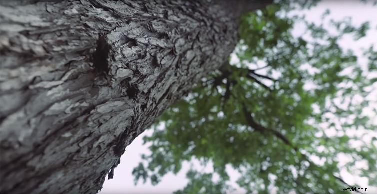 Master the Three-Second Rule: Essential Cinematography Tutorial for Edit-Ready Shots