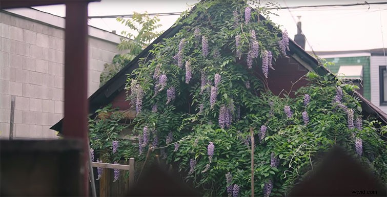 Master the Three-Second Rule: Essential Cinematography Tutorial for Edit-Ready Shots