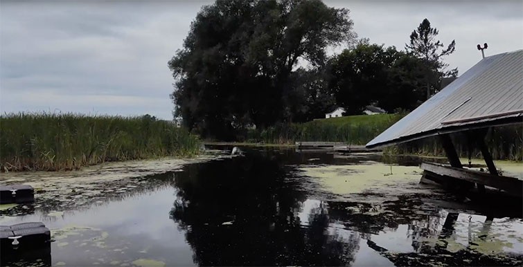 8 Expert Flight Tips for Stunning Cinematic Drone Footage