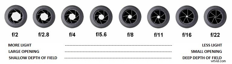 Master the Exposure Triangle: Aperture, Shutter Speed & ISO Explained for Beginners