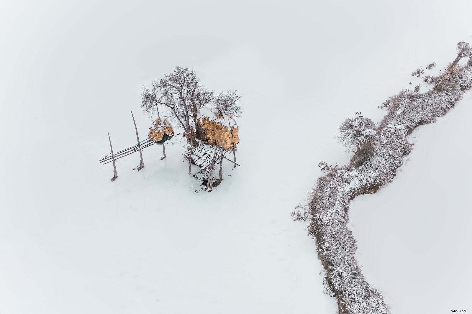 Master Winter Photography: Expert Tips for Stunning Shots