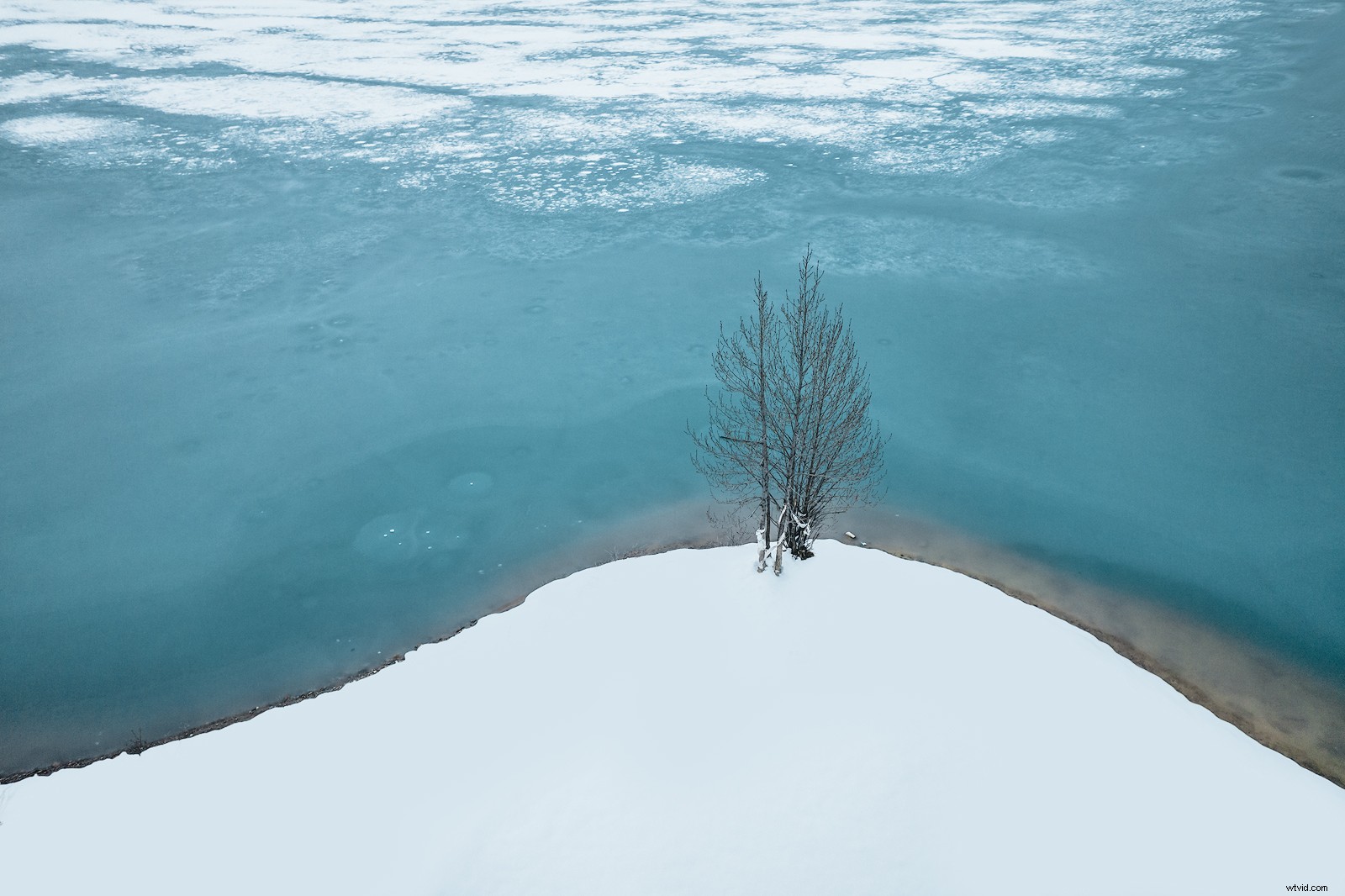 Master Winter Photography: Expert Tips for Stunning Shots