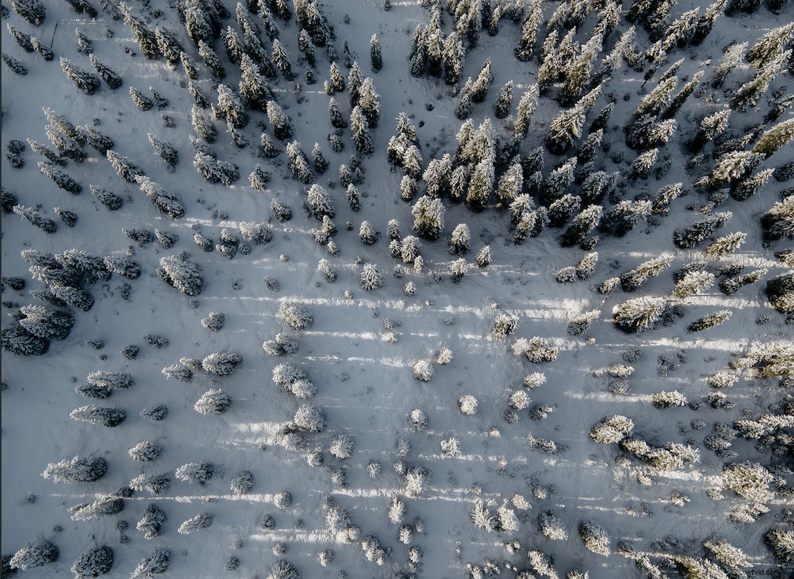 Master Winter Photography: Expert Tips for Stunning Shots