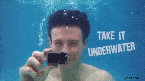 Osmo Action Camera: Expert Tips for Creative Pet Filming