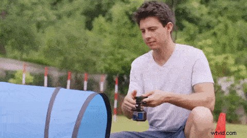 Osmo Action Camera: Expert Tips for Creative Pet Filming