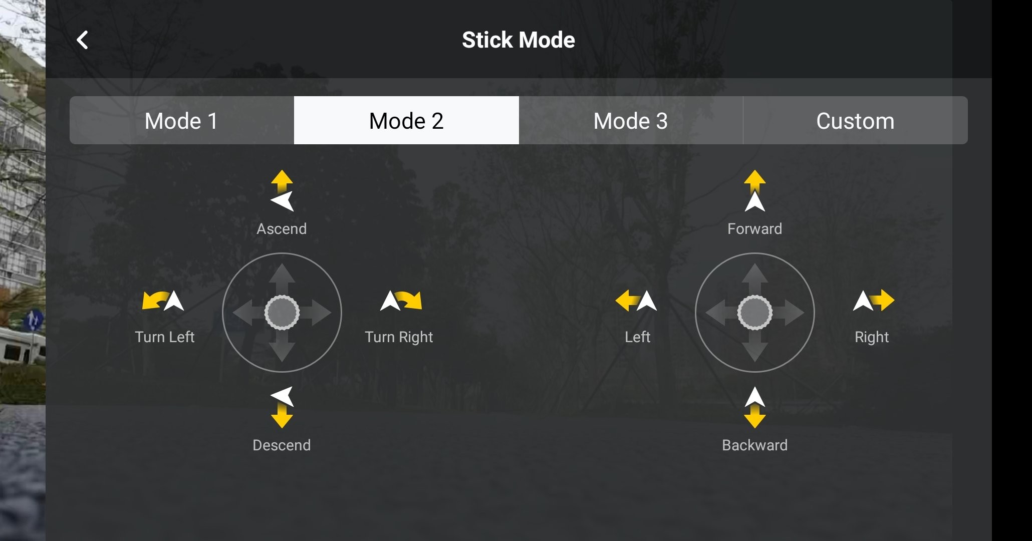 Ultimate DJI Fly App Guide: Master Features for Mavic Mini & Air 2 (2020)