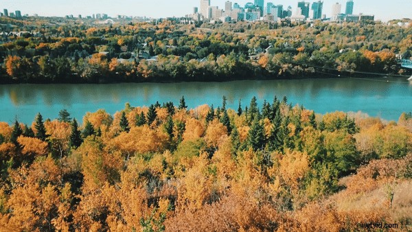 Ultimate Drone Travel Guide: Essential Tips for Safe Flying & Epic Footage Abroad