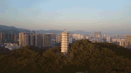 Master the Iconic Dolly Zoom Effect: 7-Step Guide with Pictures