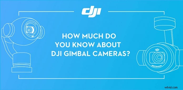 DJI Gimbal Cameras Guide: Largest Sensors, Zoom Lenses & Top Models