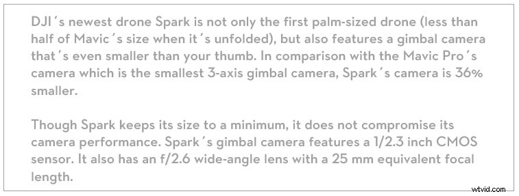 DJI Gimbal Cameras Guide: Largest Sensors, Zoom Lenses & Top Models