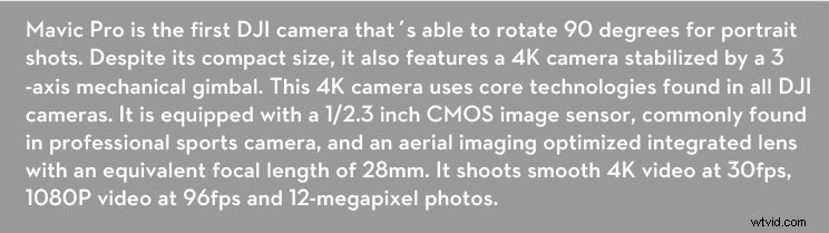 DJI Gimbal Cameras Guide: Largest Sensors, Zoom Lenses & Top Models