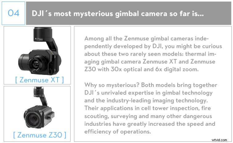 DJI Gimbal Cameras Guide: Largest Sensors, Zoom Lenses & Top Models