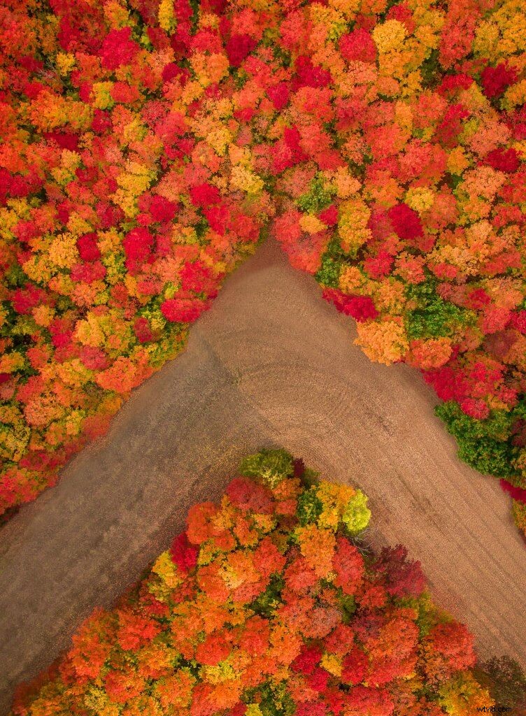 Practice Makes Perfect: Pro Insights from a DJI Inspire 2 Aerial Photographer