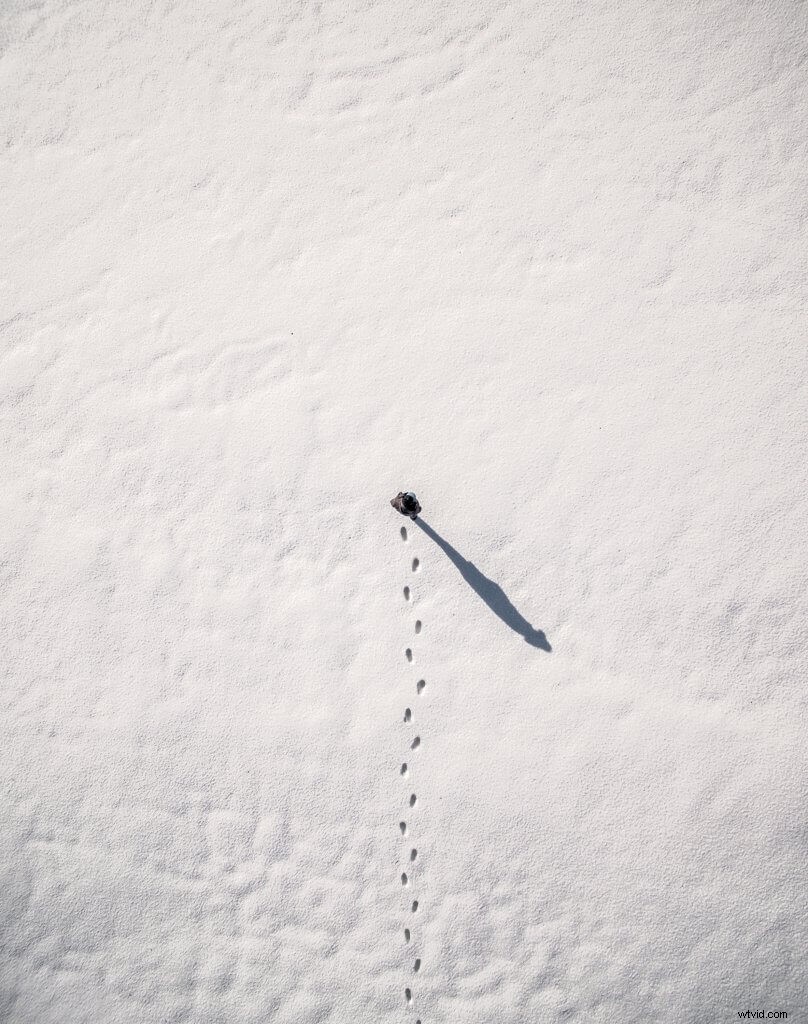 Practice Makes Perfect: Pro Insights from a DJI Inspire 2 Aerial Photographer