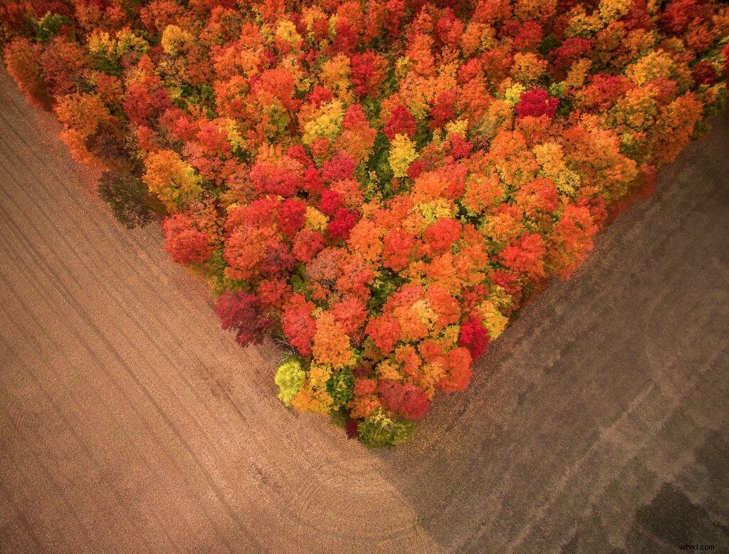 Practice Makes Perfect: Pro Insights from a DJI Inspire 2 Aerial Photographer