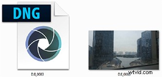 JPEG vs. RAW: Key Differences, Pros, Cons & Best Choice for DJI Drone Photos