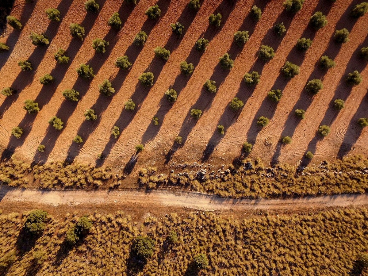 Elevate Your Drone Shots: 6 Expert DJIART Composition Techniques