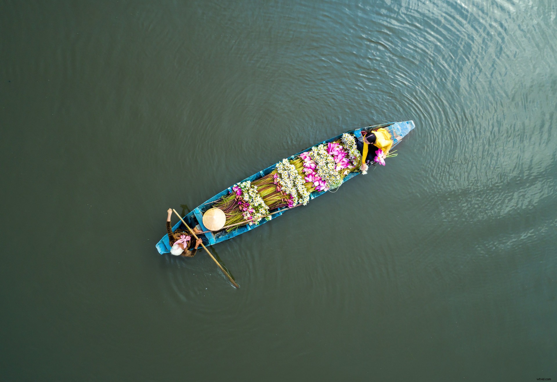 3 Expert Tips for Capturing Breathtaking Spring Aerial Shots
